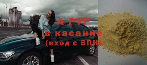 гашик Новокубанск
