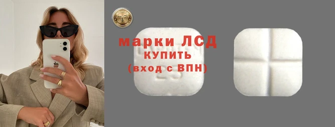 дмт Нея