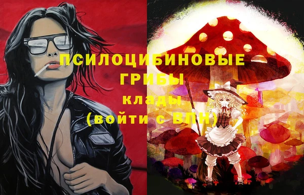 гашик Новокубанск