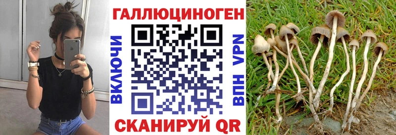 Псилоцибиновые грибы ЛСД  MEGA ССЫЛКА  Сельцо 